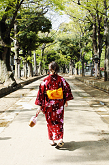 One day Omiya kimono walk