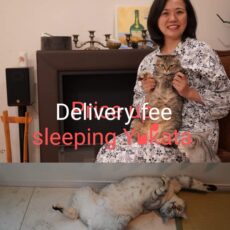 Image of delivery fee